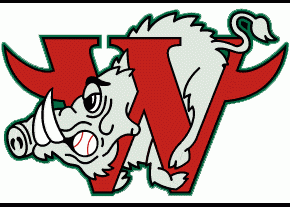 Winston-Salem Warthogs 1995-pres primary logo iron on transfers for T-shirts